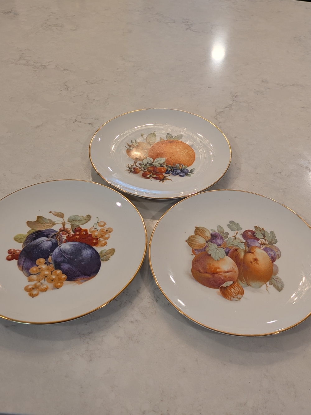 Schumann Arzberg Decorative Fruit Porcelain Dessert Plates with Gold Trim